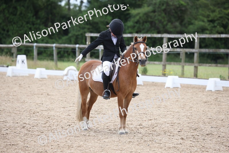 20250614-0625 - Class 5 - Novice 3