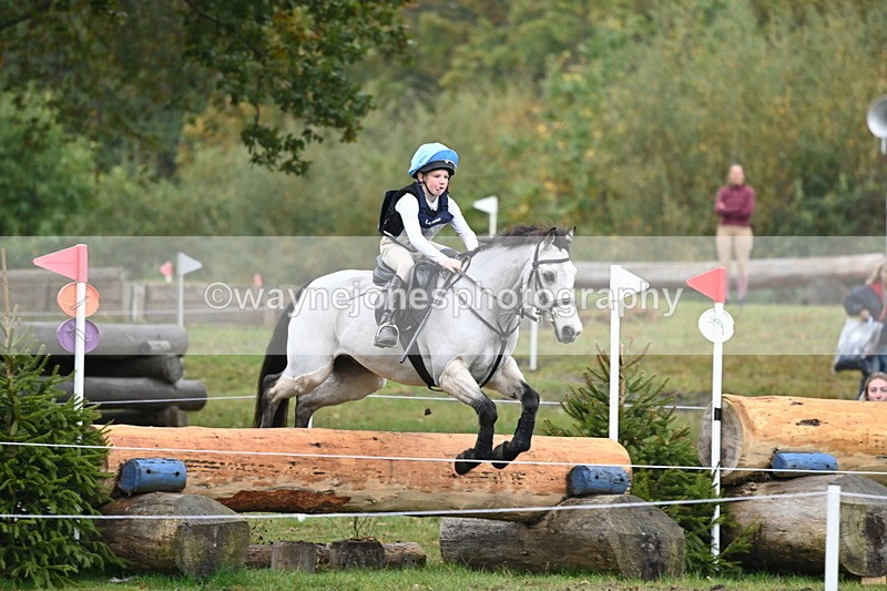 WJ6_2229 - 80cm Cam 1 Time 10:47 to 11:22