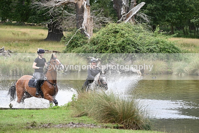 WJ7_2779 - Time at Water 11:37 to 12:13