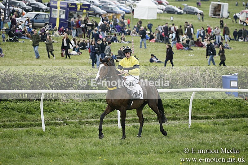 PtP 170417 488 - Old Berks Point-to-Point Lockinge 17/04/17