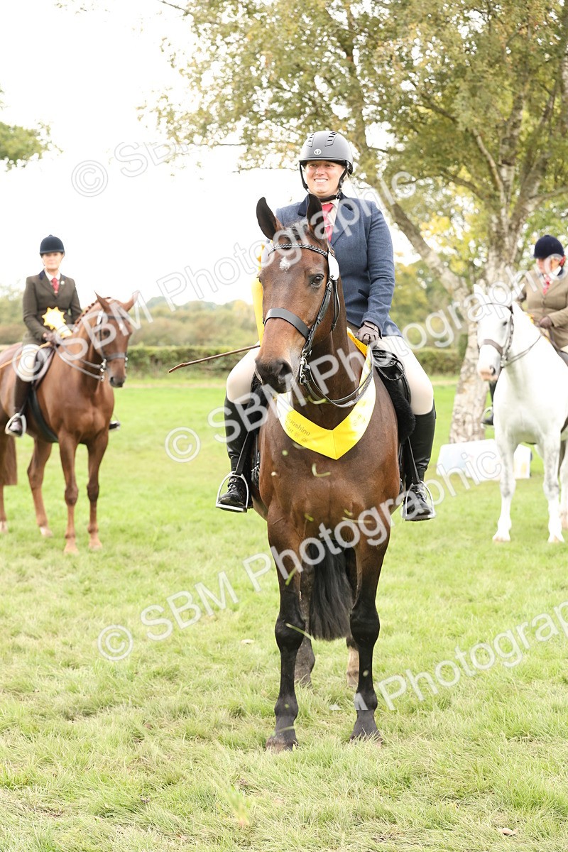 SBM_66403 - S66 - Hunter Ridden
