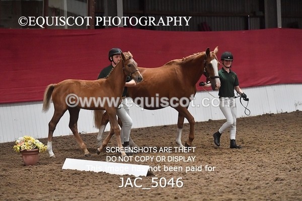 JAC_5046 - 9 Zinzipan