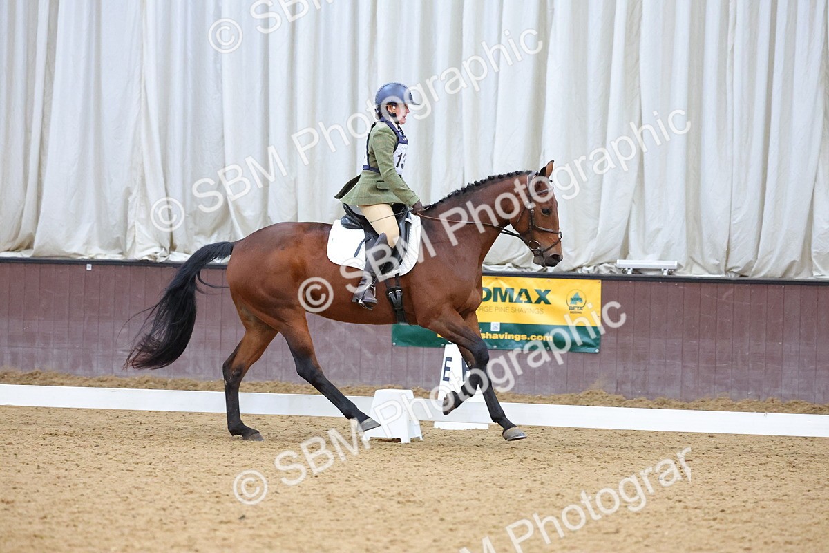SBM_004255 - Intermediate