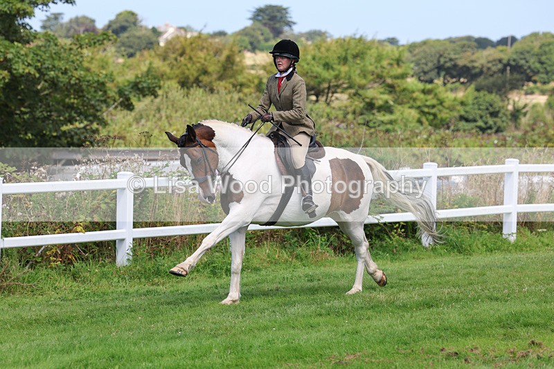 3E7A8694 - Class 5: Working Show Horse