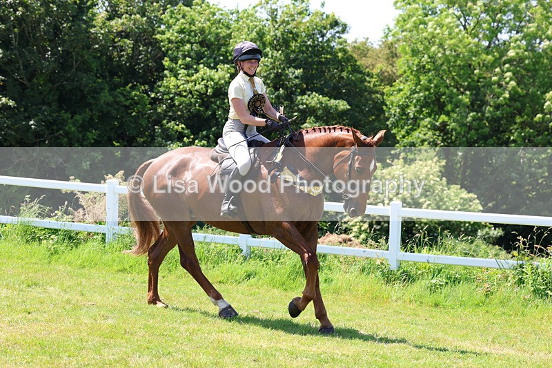 3E7A8144 - Working Hunter Championship