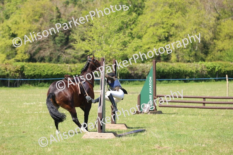 20250427-2567 - Class 20 - Working Hunter Ponies