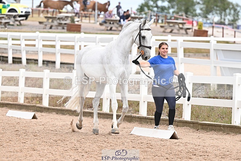 250716-161944-02565 - Trot Up 3.30 to 4.30