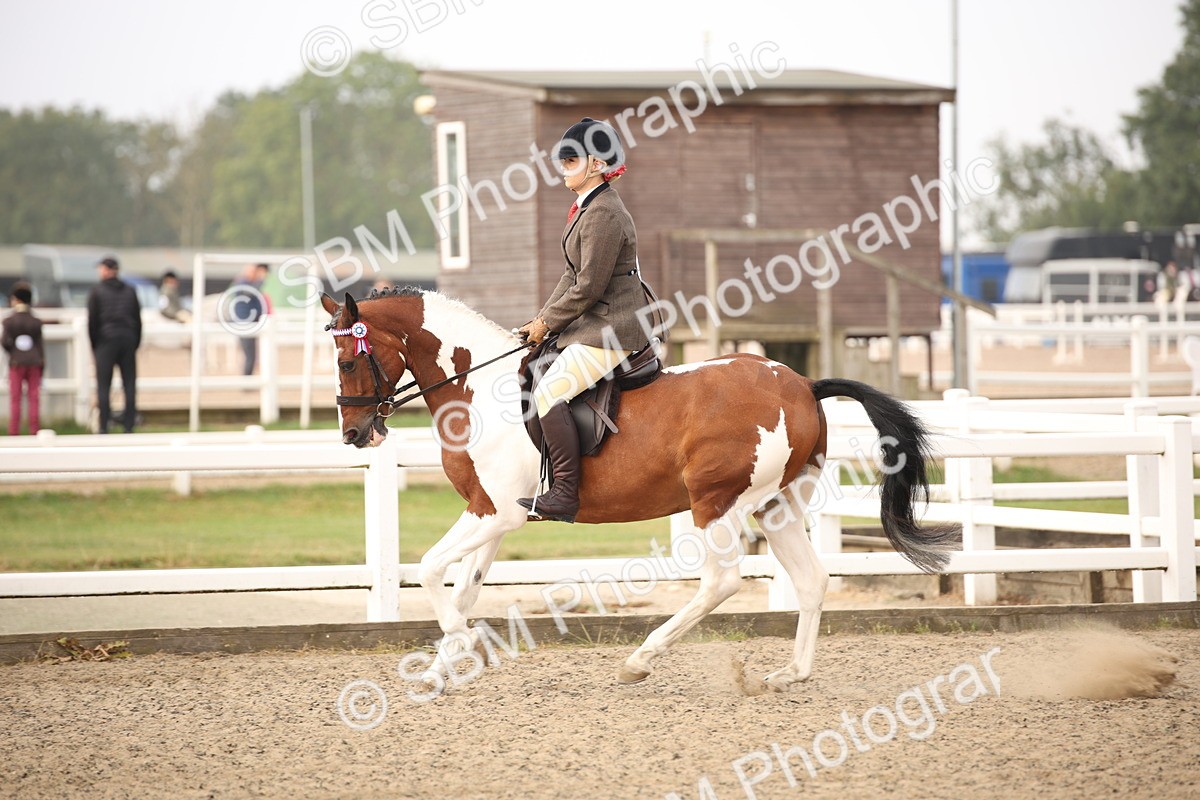 SBM_09731 - Class 401 Riding Club Pony