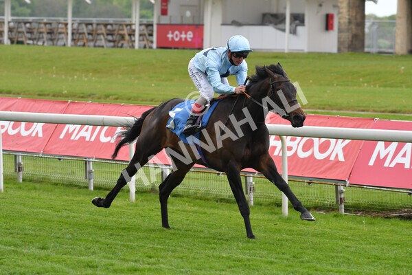 yr14052021r2-11 - Race 2 2.10pm Oak Farm Stables Fillies' Stakes (registered as the Michael Seely Memorial Stakes)