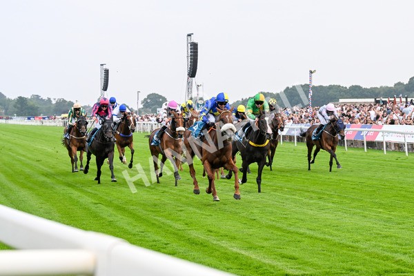 250725-Race 2-Rock N Roll Pinkie-0378 - Race 2 6.03pm Elevator Company Handicap
