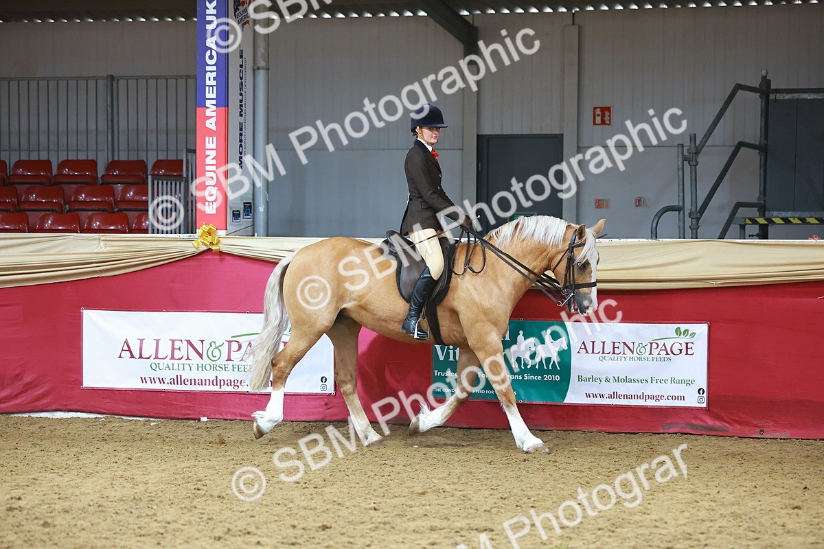 SBM_09373 - Class 102 - HOYS Veteran Qualifier - Ridden Veteran