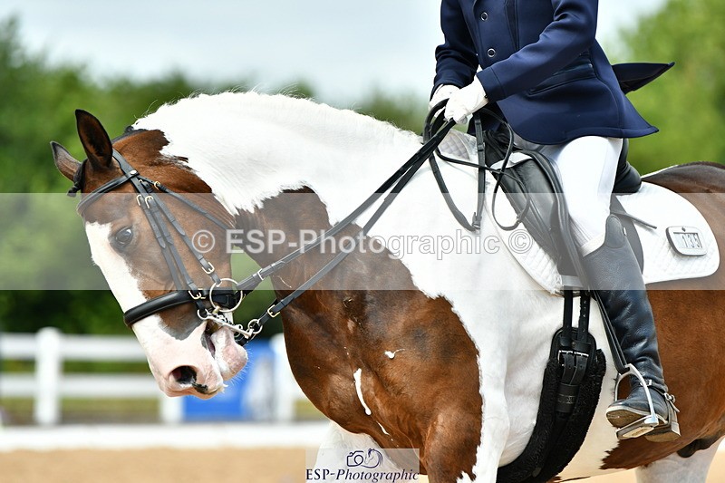 230702A-131945-09851 - Cls 28 Elementary 45