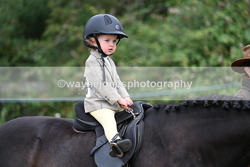WJ7_9667 - Class 1 Lead Rein Pony
