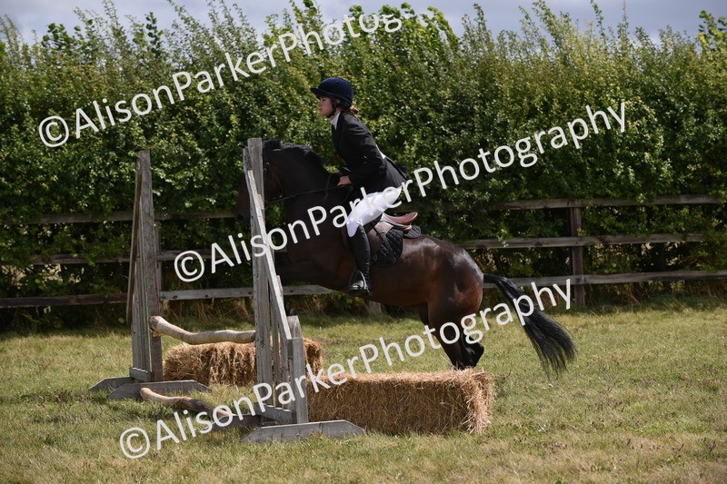 20250831-4021 - Class 12 - Working Hunter Pony 14.2hh and Under
