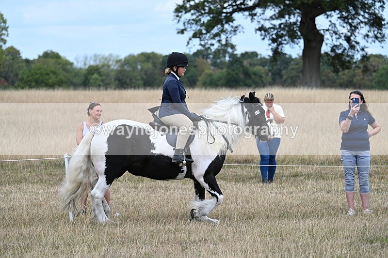 WJ7_4805 - Class 12 Ridden Cob