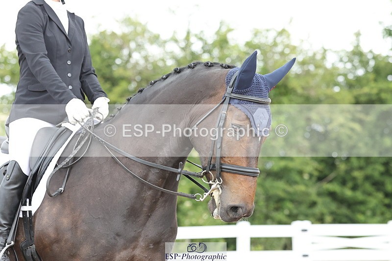 240622A-111813-09002 - Cls 30 BD Elementary 53