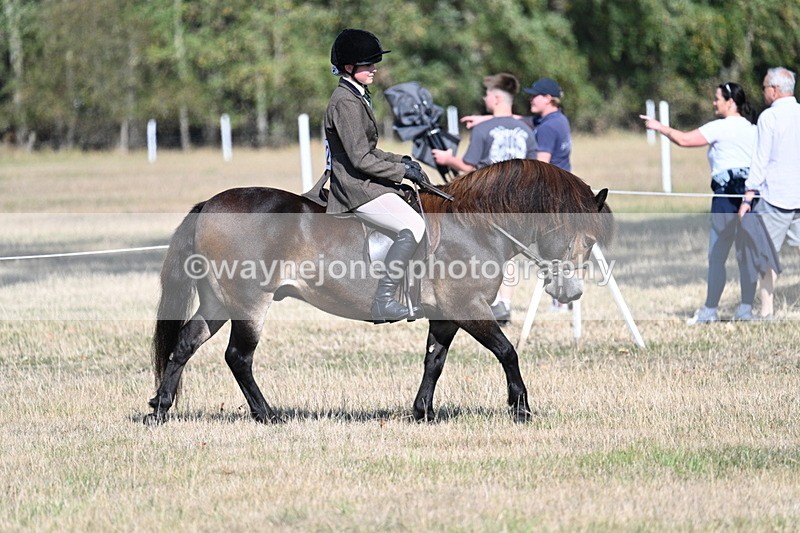 WJ7_3140 - Class 8 Ridden Tack & Turnout