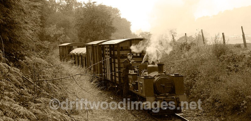WLLR Dougal approaches Cyfronydd from Llanfair with mixed goods wagons - The Welshpool & Llanfair Light Railway