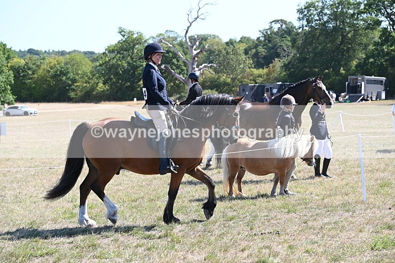 WJ6_8238 - Class 37a Best Loan Pony Ridden