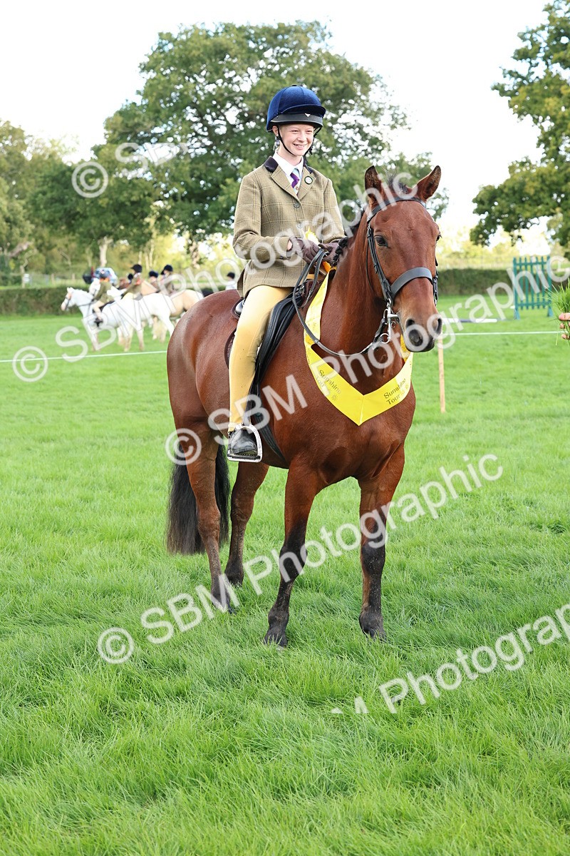 SBM_45564 - S33 - Working Hunter Pony