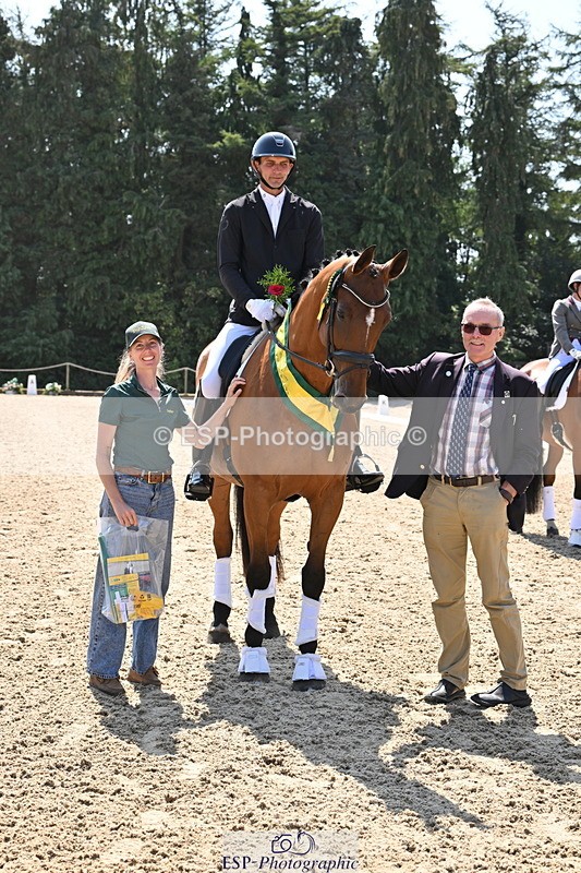 250810A-132501-06569 - Medium SILVER Presentations