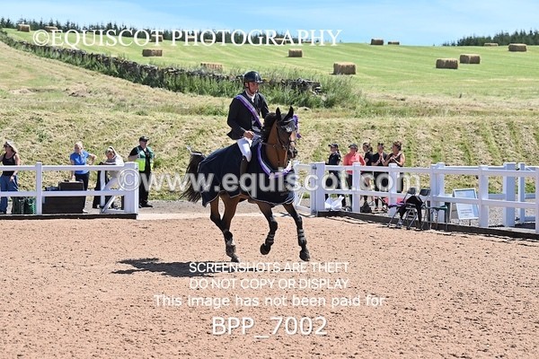 BPP_7002 - CLASS 13 FRI HOYS Talent Seeker Qualifier Inc 7 Year Old Horse Championship Qualifier
