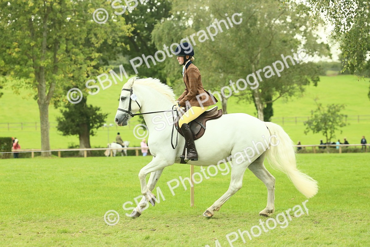 SBM_72176 - S60 - Mountain & Moorland Ridden Large Breeds