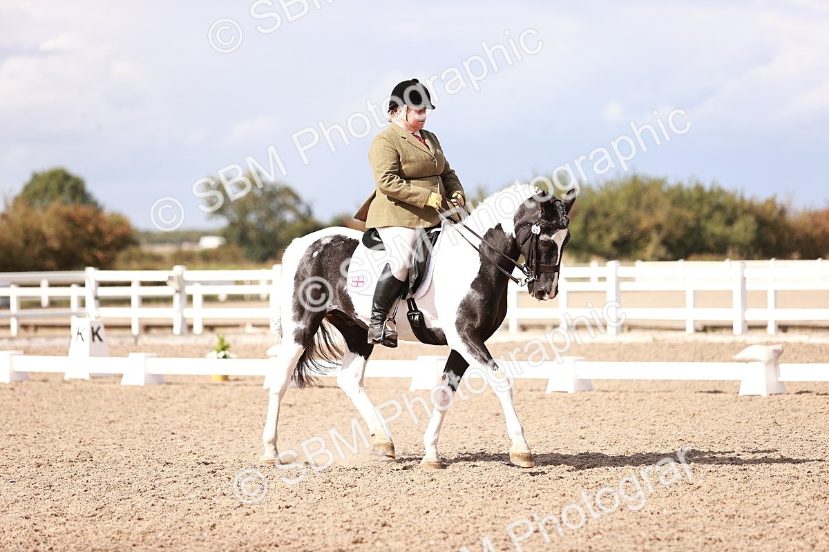 SBM_06588 - Class 39 - Medium 3