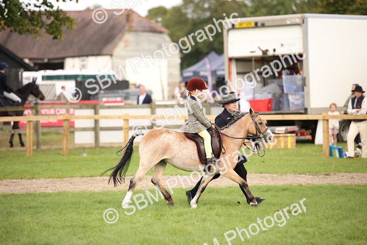 SBM_50018 - S26 - Young Veteran - Ridden