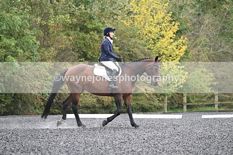 WJ7_4091 - Time 11:43 to 12:09