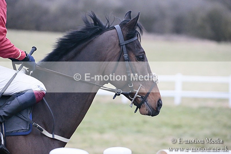 PtP 180218 817 - Combined Services Point-to-Point Larkhill 18/02/18