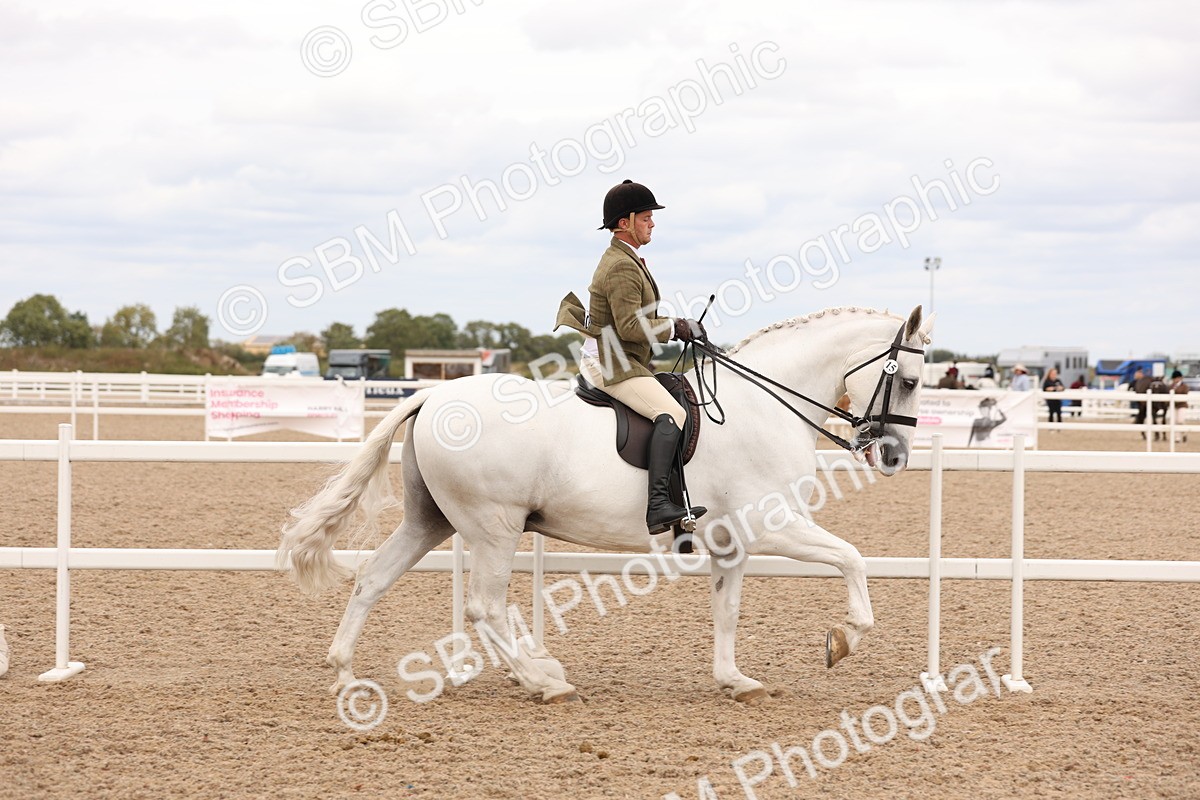 SBM_17204 - Class 213 - Ridden Hunter - Large