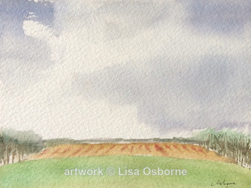 Fields, Suffolk - Seascapes/Landscapes