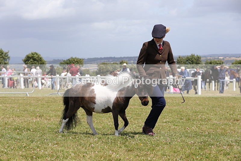 1X9A4828 - Class 35: Veteran In Hand