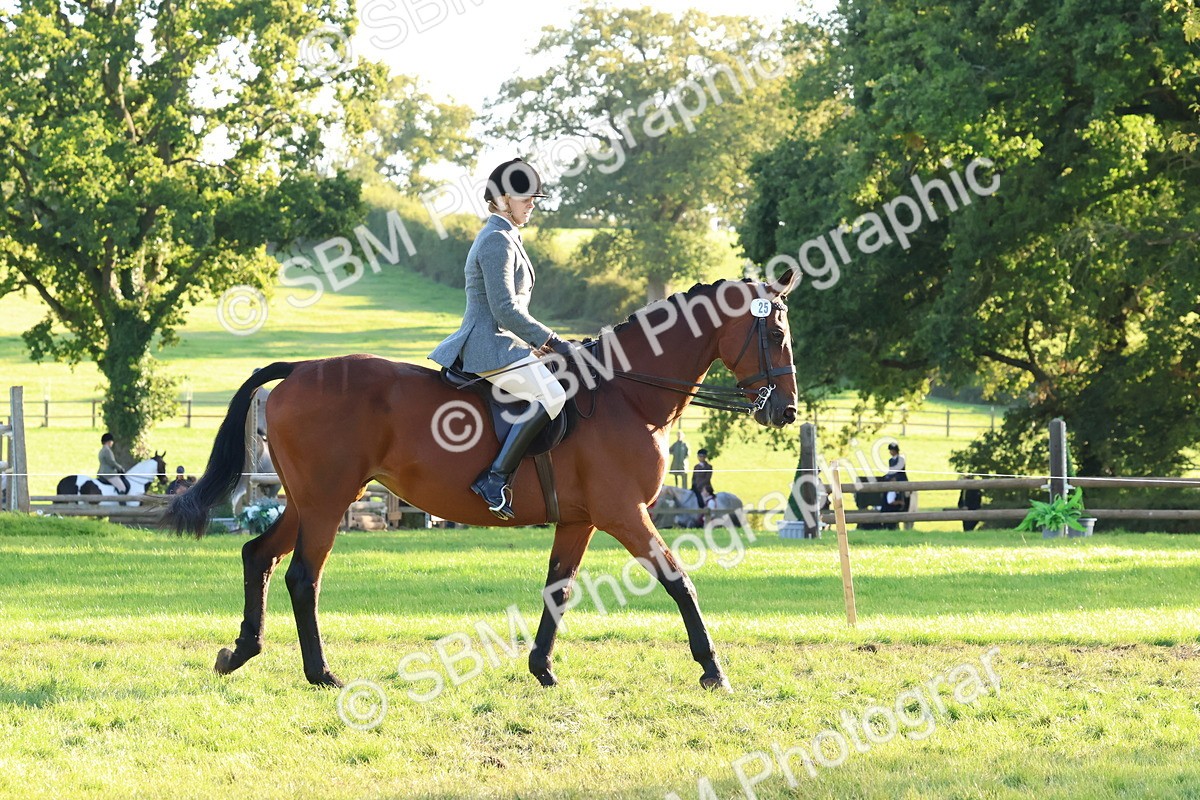 SBM_52991 - S29 - Mature Veteran Ridden