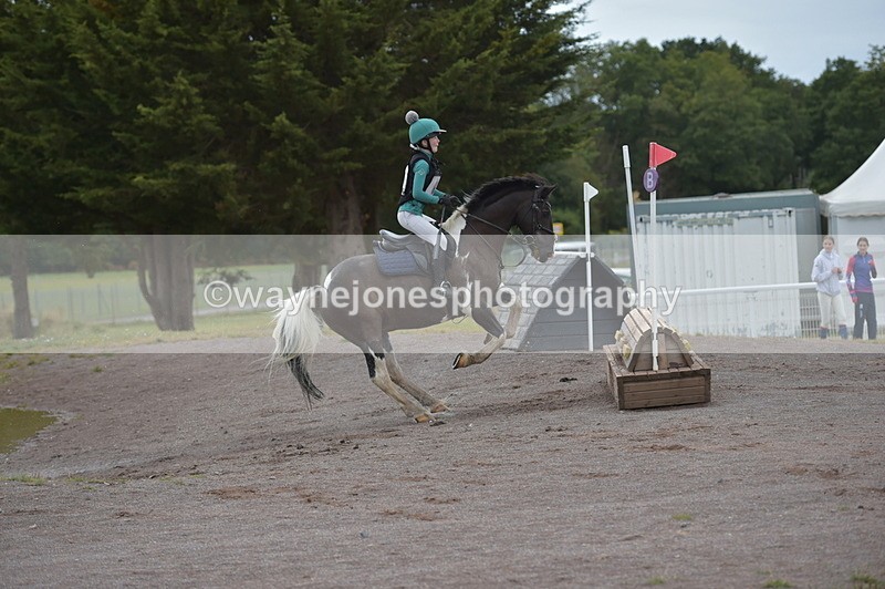 NGP_2734 - XC Time 11:37 to 11:57