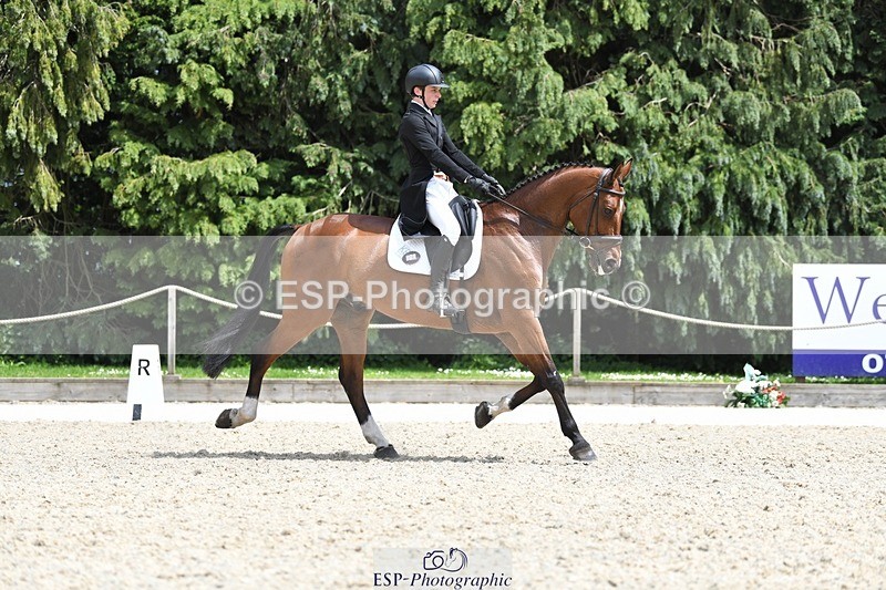 230525-140729-03095 - 318-JUST_HAVE_FAITH_TN-Alfie_Marshall-WEDTrotUp+DR