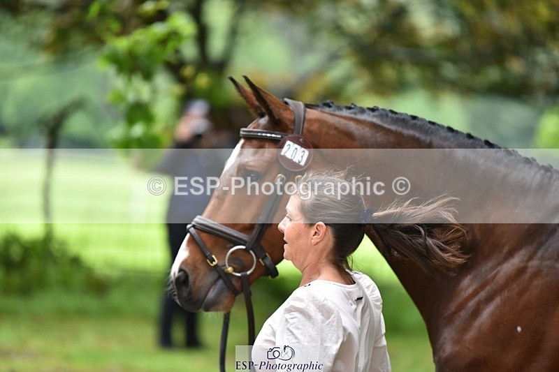 240522-163032-00966 - 203-OAKPORT_WEST_COAST_EXPRESS-Emma_Wilkes