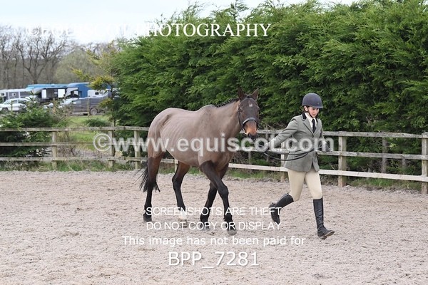 BPP_7281 - RING 1  (RIDDEN HORSES / IN HAND / VETERAN ETC)
