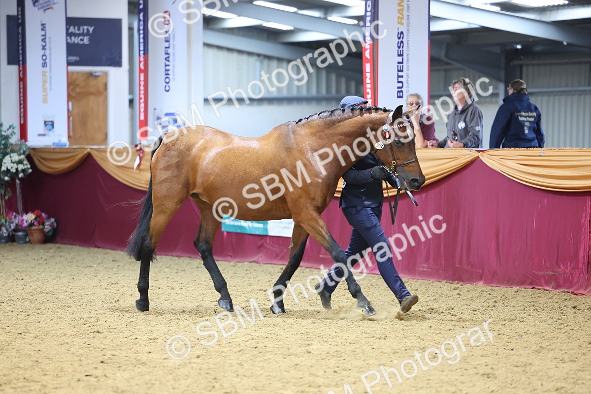 SBM_23214 - Supreme Final - IH Champion