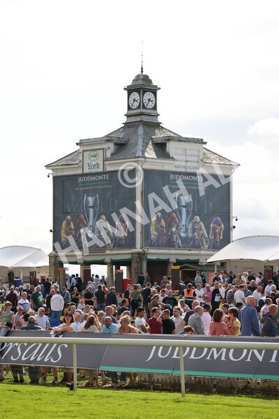 yr18082021r4-64 - Race 4 3.35pm Juddmonte International Stakes (British Champion Series race)