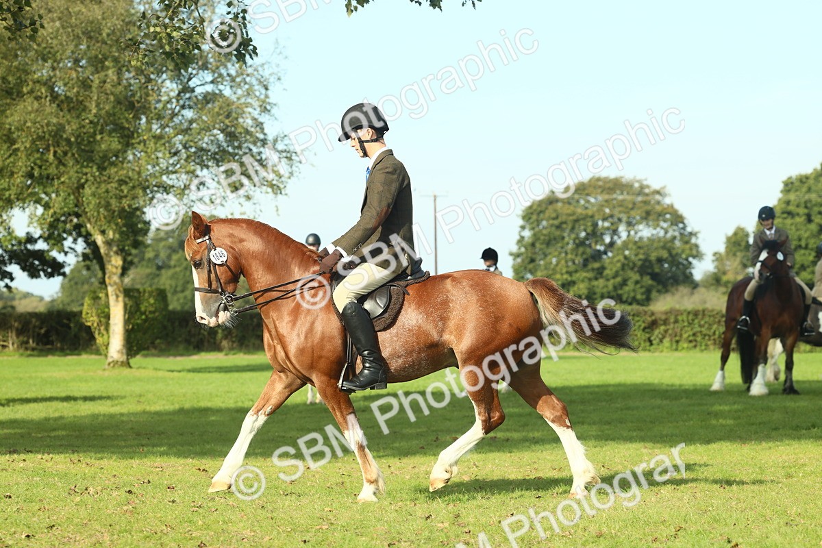 SBM_59927 - S38 - Starters Ridden Showing