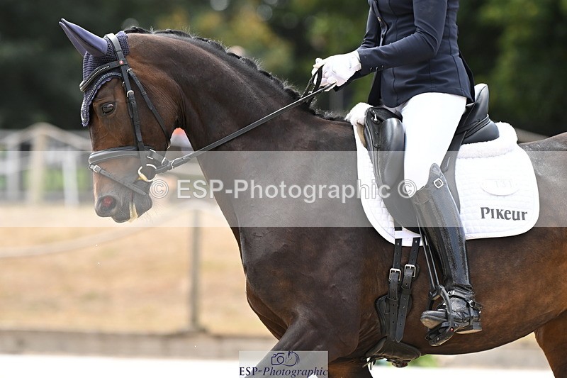 250808A-143042-01080 - 131-Beth.BainbridgeNewton.Delightful