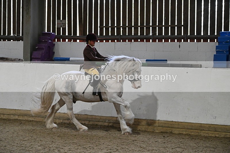 WJ7_4230 - Class 17 Ridden Cob