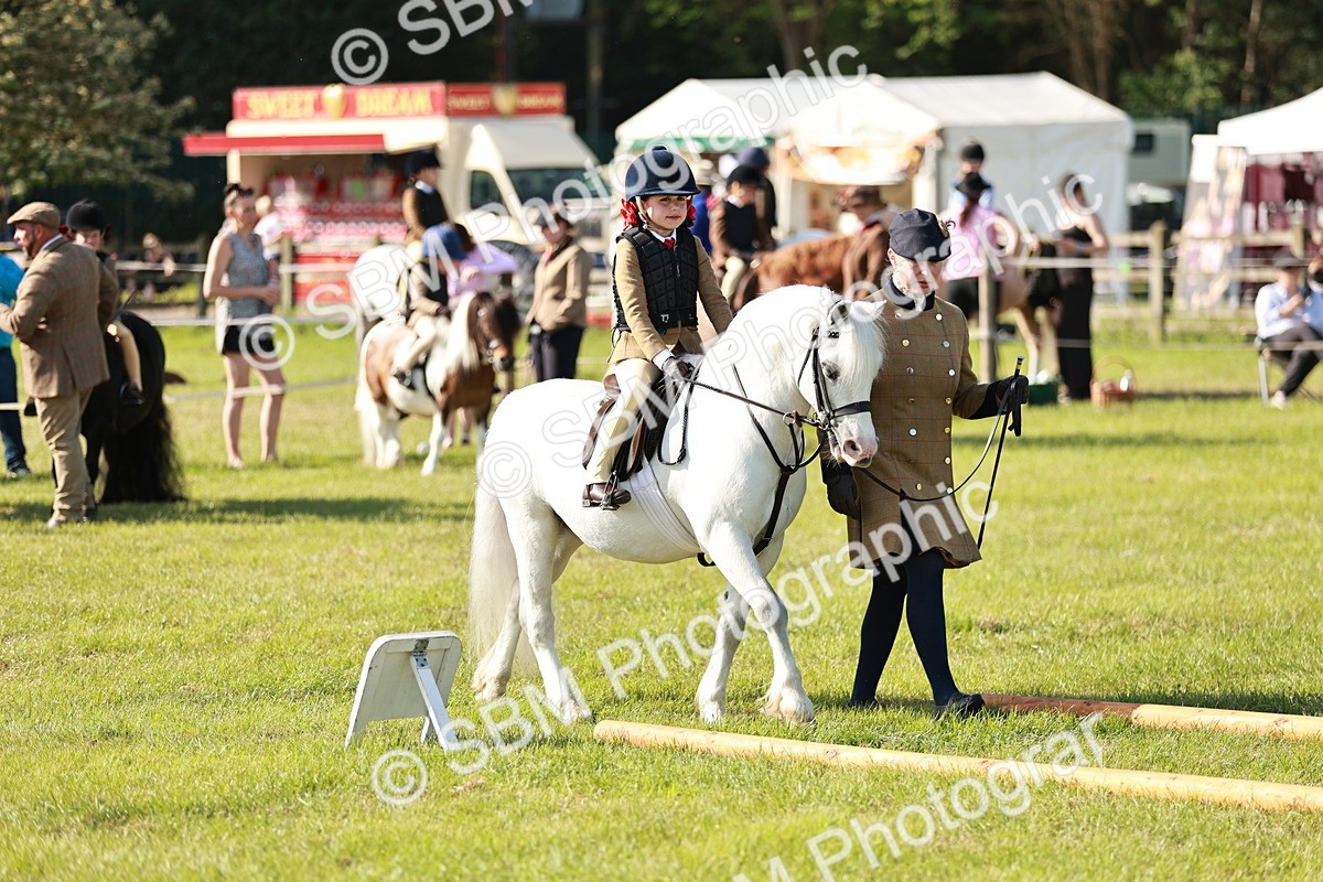SBM_11293 - Class 106-107 - BSPS LIHS Working Sports Pony