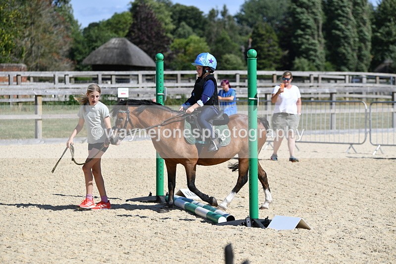 WJ5_5027 - Poles on the Floor