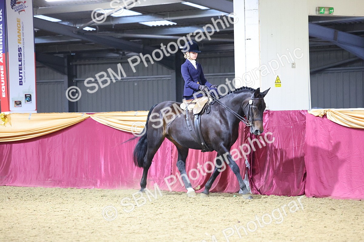 0B8A4245 - Class L Side Saddle Champ