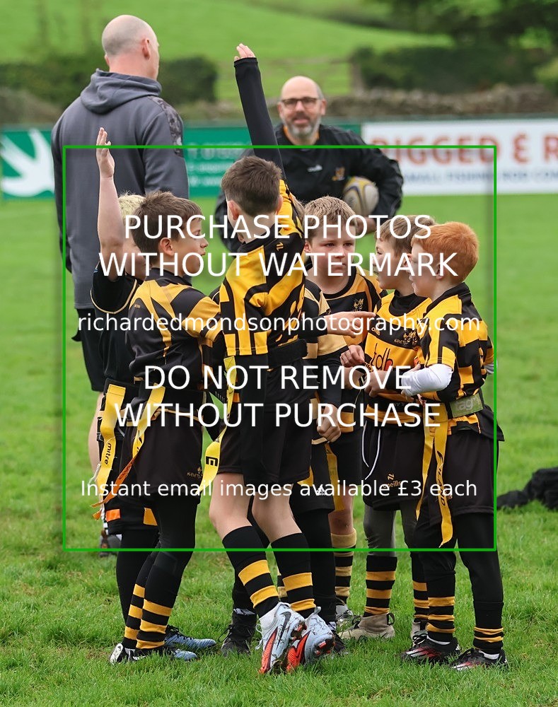 533A8785 - Kendal Rugby Under 8's