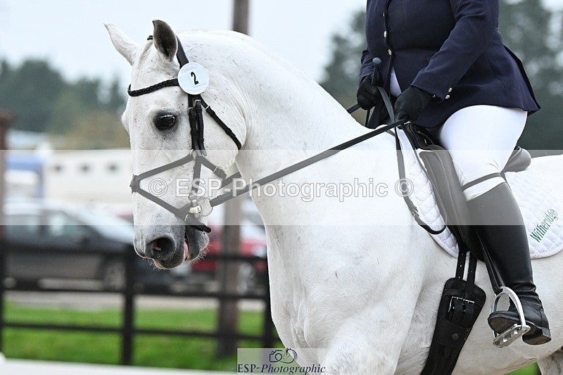 241103-083421-00021 - Intro 3 - 8.30 to 9.30