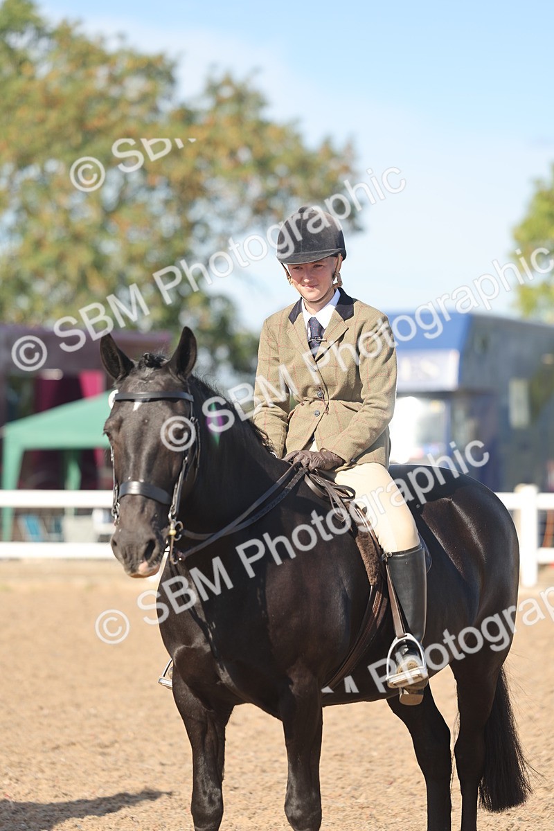 SBM_12375 - Class 304 - Ridden part Bred Horse Pony